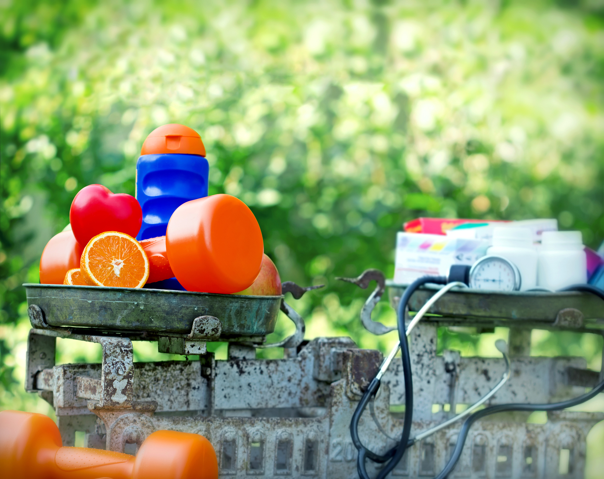 What would you choose for your longevity