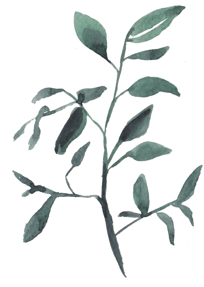 Leaves watercolor illustration